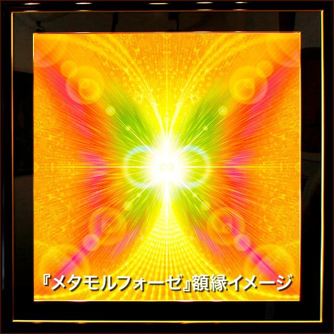 蝶
