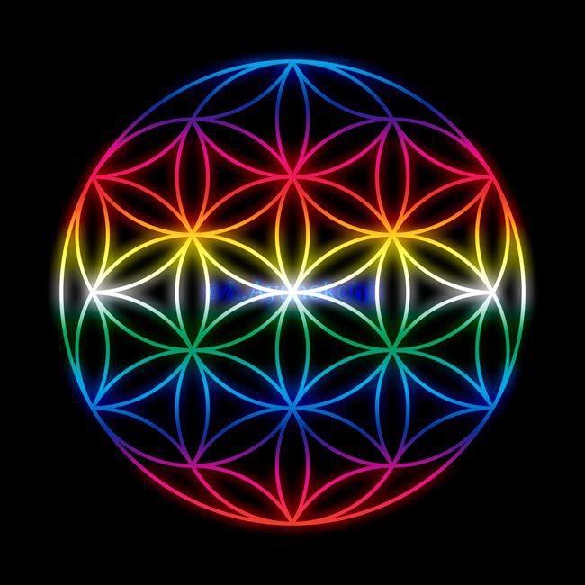 Seed of Life