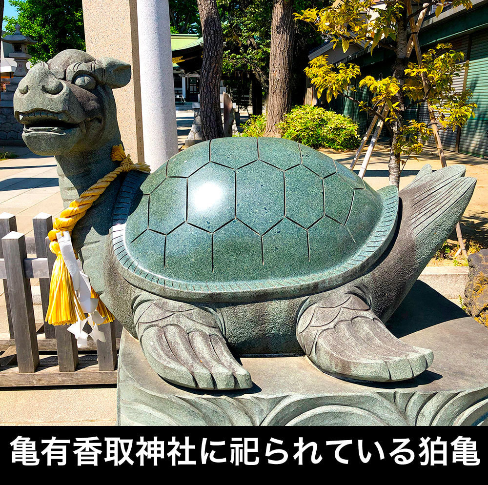 狛亀