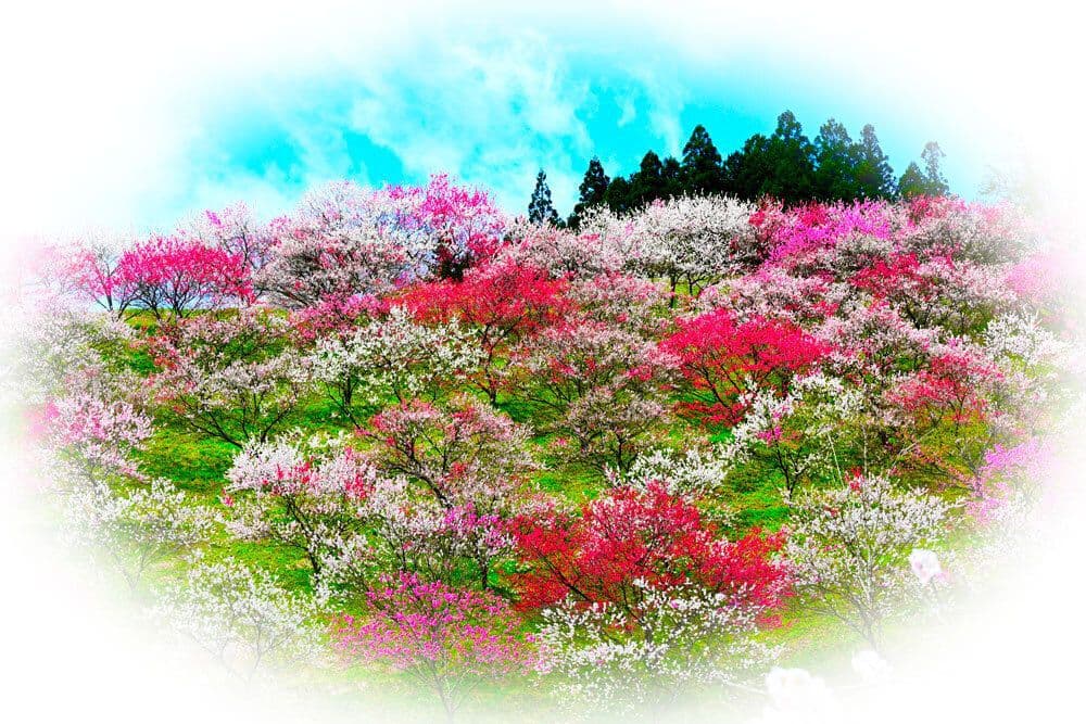 エネルギーアート